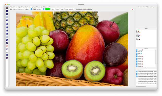 AnyLabeling: AI-Powered Data Annotation