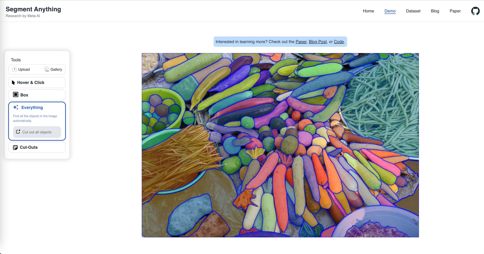 Segment Anything in auto mode
