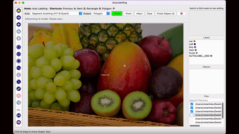 SAM auto-labeling demo in AnyLabeling
