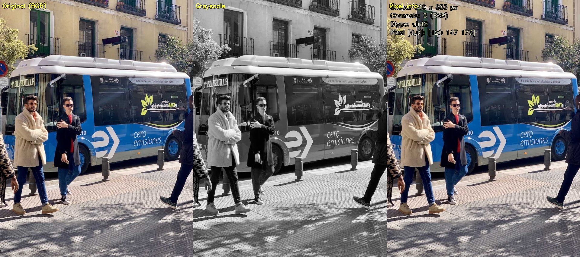 What a computer sees: the raw BGR array, its grayscale equivalent, and annotated pixel metadata