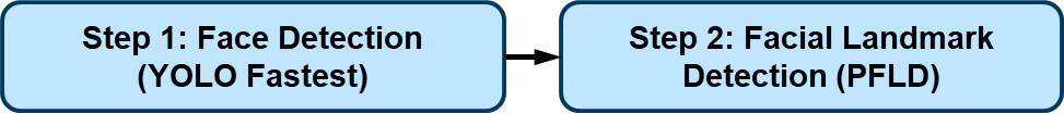 Face detection with landmarks and mask detection output